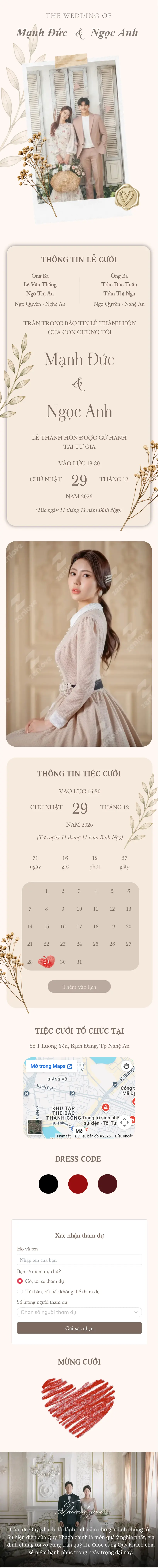 Thanh Lịch Lá Olive